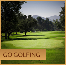 Go Golfing